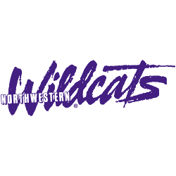 Northwestern Wildcats Wordmark Logo 1981 - Present